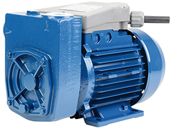 Pompe à eau auto-amorçante pour arrosage de jardin et pompage depuis un puits