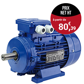 Moteurs triphasés 1000 tr/min - B3