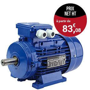 Moteurs triphasés 3000 tr/min - B3