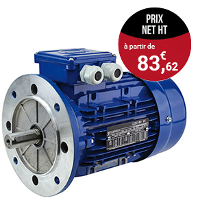 Moteurs triphasés 1000 tr/min - B5