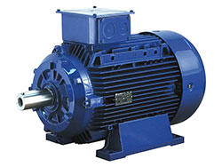 Moteur électrique triphasé 400/690 V<br> 3000 tr/min - Taille 280 - B3 - 75 kW
