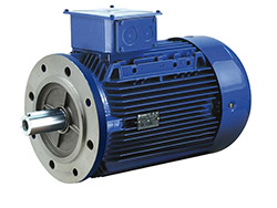 Moteur électrique triphasé 400/690 V<br> 3000 tr/min - Taille 280 - B5 - 75 kW
