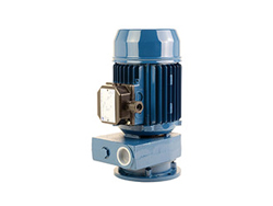 Pompe machine haute pression - PCV 100<br> A canal lateral - 0,74 kW
