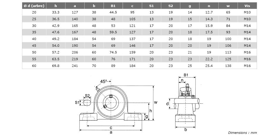 Palier - 2 fixations ucp204 - 20 mm